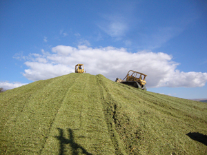 dozers at top